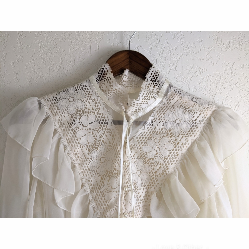 VINTAGE Lace Mesh Cottagecore Long Sleeve Blouse - Picture 3 of 6